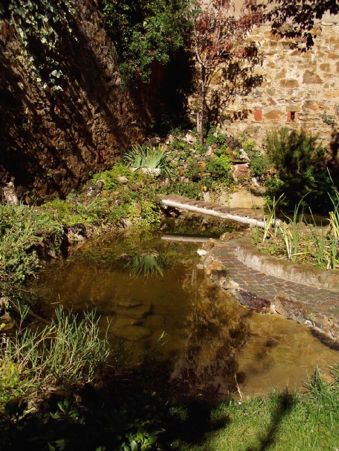 Il Laghetto del Centro di Entomologia - Piombino (LI)